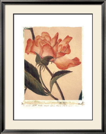 Orange Rose by Deborah Schenck Pricing Limited Edition Print image