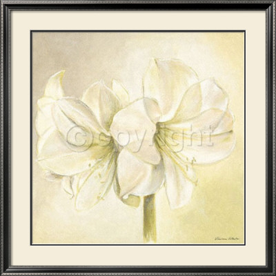 Bright Elegance by Vivien White Pricing Limited Edition Print image