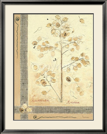 Lunaria Annua I by Beatrice Pricing Limited Edition Print image