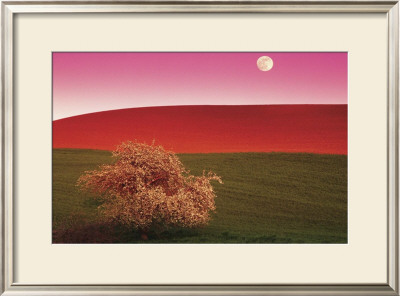 Palouse Hills by Daryl Benson Pricing Limited Edition Print image