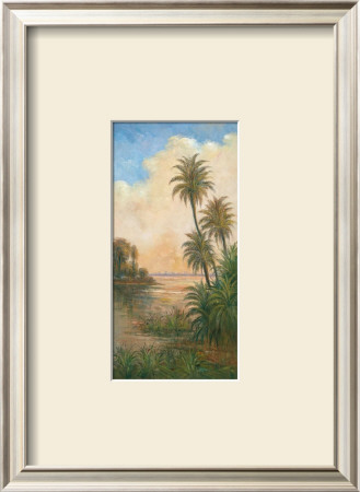 Tropical Serenity I by J. D. Davidson Pricing Limited Edition Print image