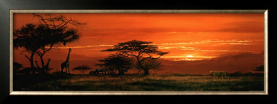 Safari Sunset by Jeremy Paul Pricing Limited Edition Print image