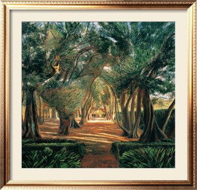 Allee Of Olives by Carol Geyer Pricing Limited Edition Print image