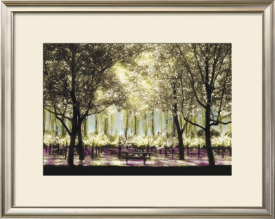 Picnic In Sonoma by Candace Tisch Pricing Limited Edition Print image