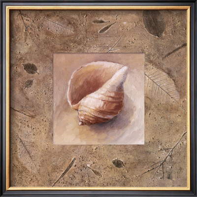 Shell I by Lanie Loreth Pricing Limited Edition Print image