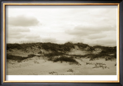 Ocracoke Dune Study Iii by Jason Johnson Pricing Limited Edition Print image