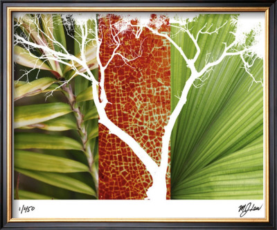 Rainforest Life I by M.J. Lew Pricing Limited Edition Print image