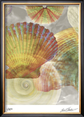 Shell Suite Ii by Robert Mertens Pricing Limited Edition Print image