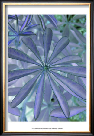 Woodland Plants In Blue I by Sharon Chandler Pricing Limited Edition Print image
