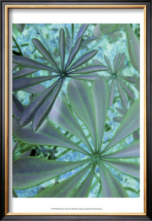 Woodland Plants In Blue Iii by Sharon Chandler Pricing Limited Edition Print image