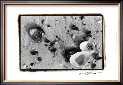Sand Treasures I by Laura Denardo Pricing Limited Edition Print image
