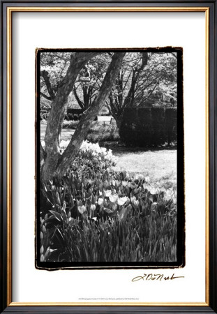 Springtime Garden Iv by Laura Denardo Pricing Limited Edition Print image