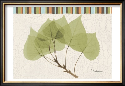 Trimmed Aspen by Albert Koetsier Pricing Limited Edition Print image