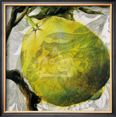 Fruit Study I by Dennis Carney Pricing Limited Edition Print image