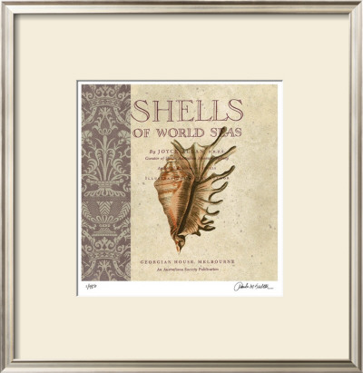 Shells Of The World by Paula Scaletta Pricing Limited Edition Print image