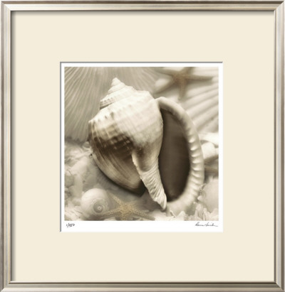 Iridescent Seashell Ii by Donna Geissler Pricing Limited Edition Print image