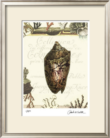 Coquilles Iv by Paula Scaletta Pricing Limited Edition Print image