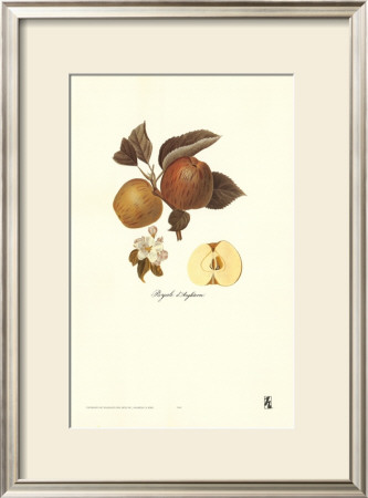 Apple, Royale D'angleterre by Francois Langlois Pricing Limited Edition Print image
