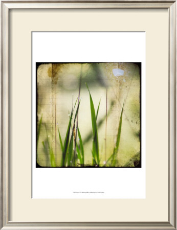 Green Ii by Ingrid Blixt Pricing Limited Edition Print image