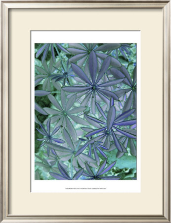 Woodland Plants In Blue Iv by Sharon Chandler Pricing Limited Edition Print image
