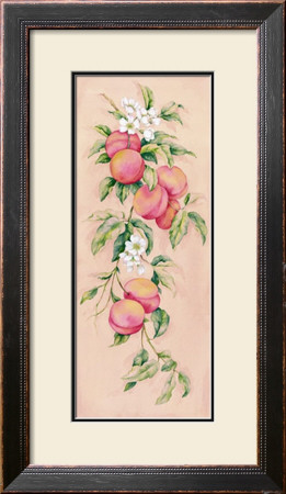 Apricots by Clare Lake Pricing Limited Edition Print image