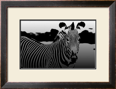 Zebra Chrome Ii by Susann & Frank Parker Pricing Limited Edition Print image