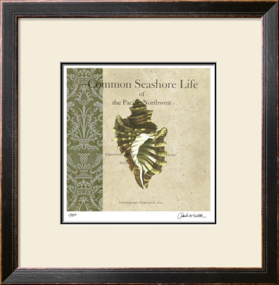 Seashore Life by Paula Scaletta Pricing Limited Edition Print image