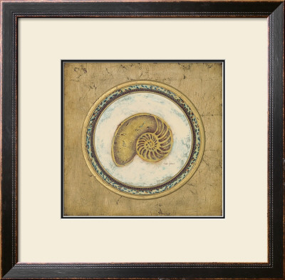 Glamour Nautilus Shell by Regina-Andrew Design Pricing Limited Edition Print image