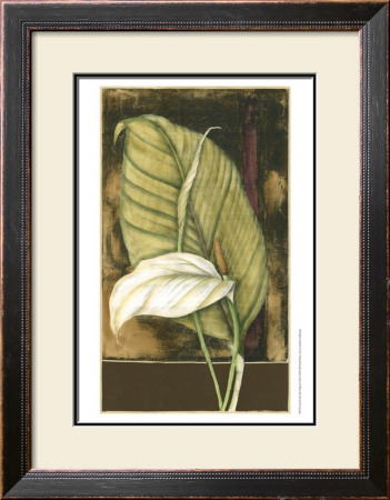 Moonlit Foliage Ii by Jennifer Goldberger Pricing Limited Edition Print image