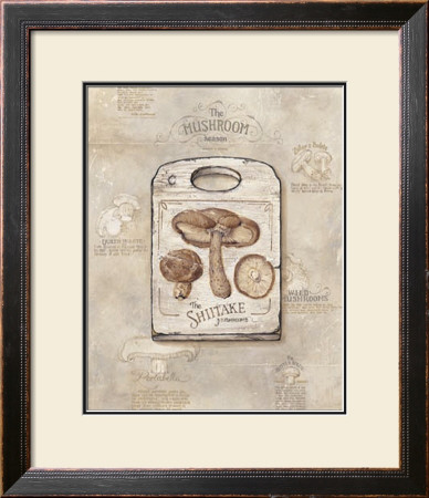 Mushroom by Lisa Audit Pricing Limited Edition Print image