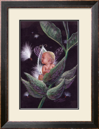 Milkweed Imp by Dale Ziemianski Pricing Limited Edition Print image