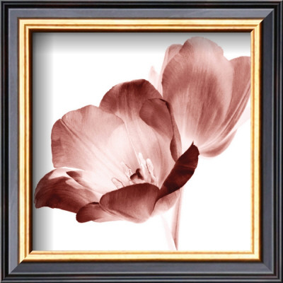 Red Tulips by Dick & Diane Stefanich Pricing Limited Edition Print image