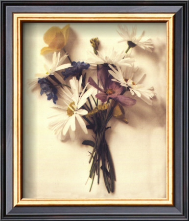 Light Daisies by Rosanne Olson Pricing Limited Edition Print image