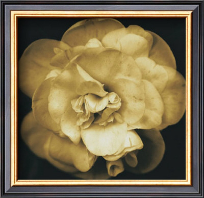 Yellow Flower by Nelson Figueredo Pricing Limited Edition Print image