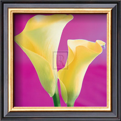 Lily Bloom Vii by Bill Philip Pricing Limited Edition Print image