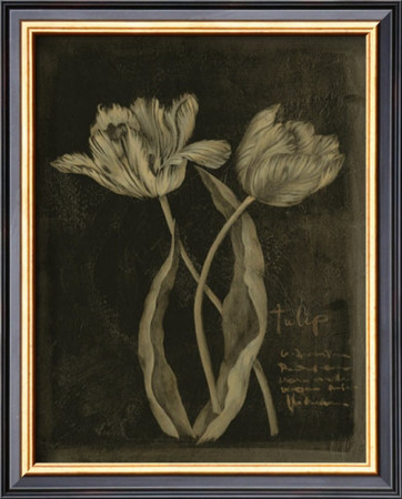 Tulip by Stela Klein Pricing Limited Edition Print image