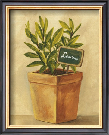 Laurus by Mar Alonso Pricing Limited Edition Print image