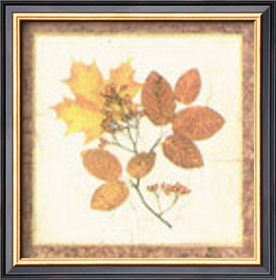 Leaf Study Ii by Tina Chaden Pricing Limited Edition Print image