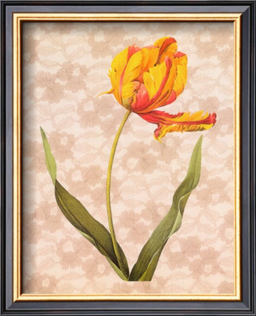 Tulipa Gesneriana by Pierre-Joseph Redouté Pricing Limited Edition Print image