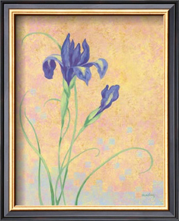 Elegant Iris by Jane Maday Pricing Limited Edition Print image