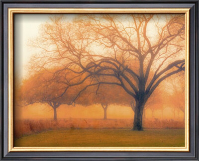 Memory Of Trees by M. Ellen Cocose Pricing Limited Edition Print image