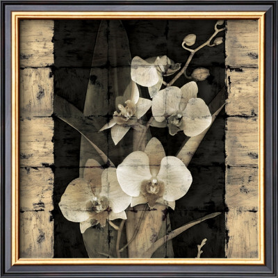 Orchids In Bloom Ii by John Seba Pricing Limited Edition Print image