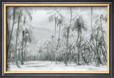 Manzanilla Point Road by Evelyn Barnes Pricing Limited Edition Print image