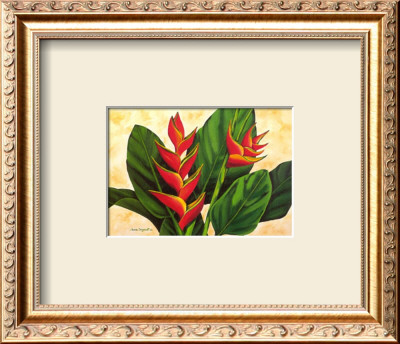 Tropical Beauty I by Jane Segrest Pricing Limited Edition Print image