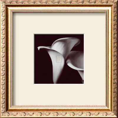 Lily by Bill Philip Pricing Limited Edition Print image
