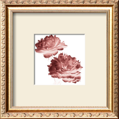 Red Peonies by Dick & Diane Stefanich Pricing Limited Edition Print image