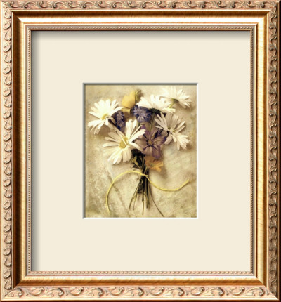 Dark Daisies by Rosanne Olson Pricing Limited Edition Print image