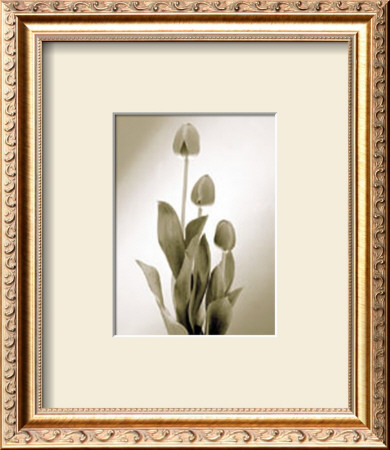 Tulpe by Edoardo Sardano Pricing Limited Edition Print image