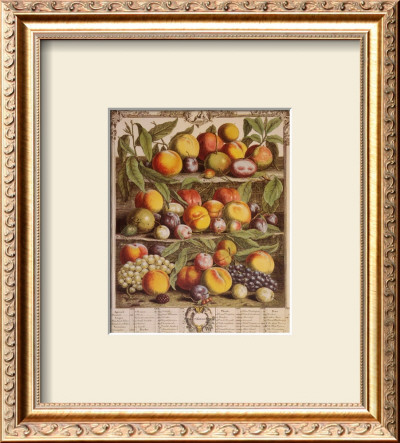 Fruits Of The Season, Autumn by Robert Furber Pricing Limited Edition Print image