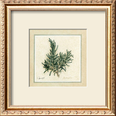 Herbes Ii by Vincent Jeannerot Pricing Limited Edition Print image